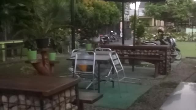 Suasana taman kopi
