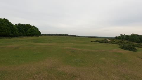Drone shot panning away from New forest.