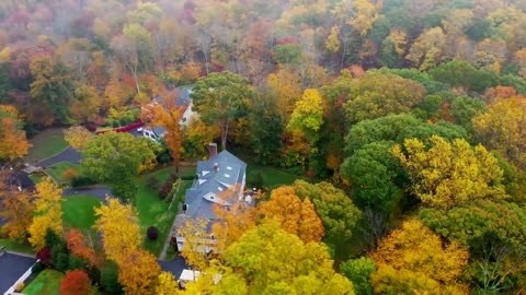 Enchanting Autumn Forests with Beautiful Piano Music