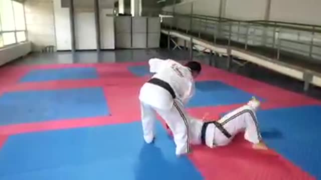 Hapkido
