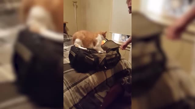 👻​👻​👻​I throw myself and scratch you