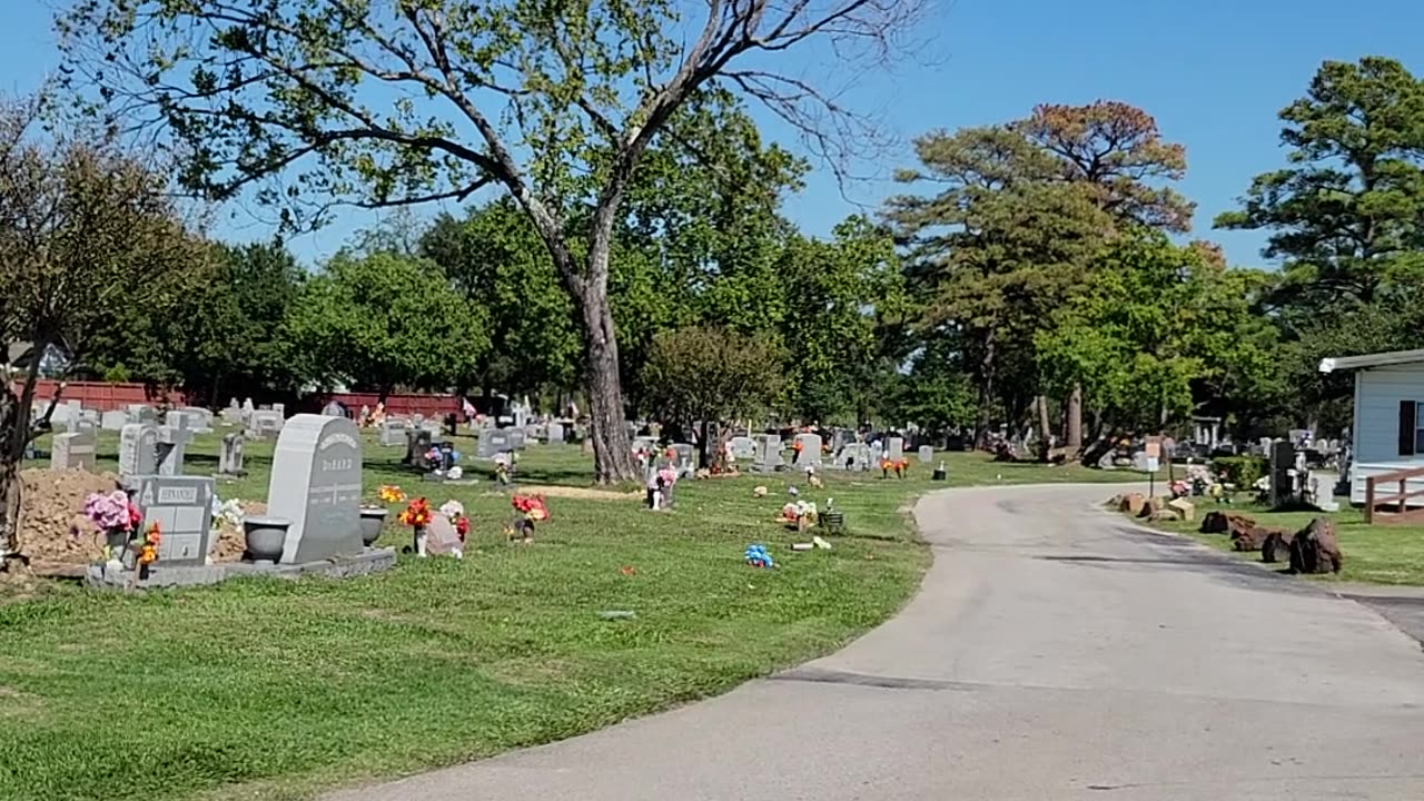 Historic Hollywood #Cemetery in Houston TX