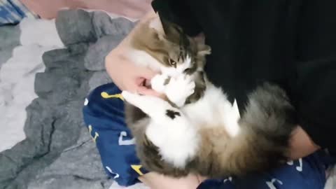 Time being bitten = Time being cuddled