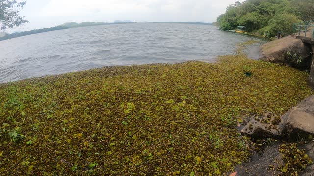 Lovely Dam Waves / TheHIKER