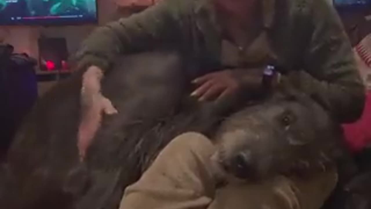 bigpuppers
