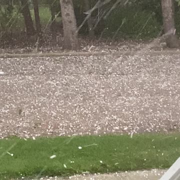 Hailing still