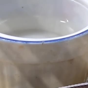 Have you ever seen a snake drink water | beautiful scene 🐍