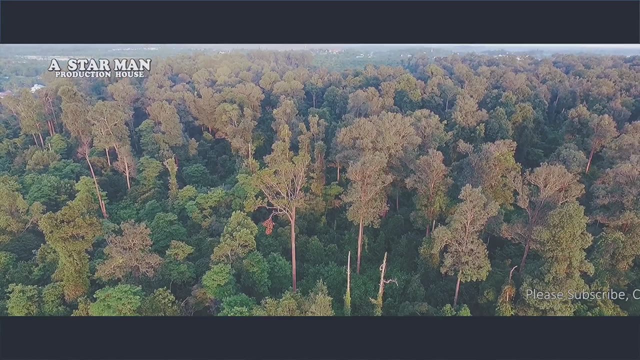BABYBORNEO - BORNEO VILLAGE | OFFICIAL MUSIC VIDEO (BORNEO HAPPINESS ALBUM)