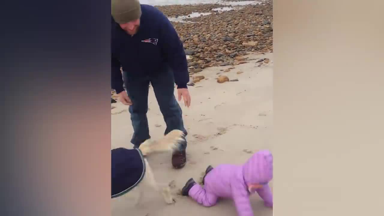 Funniest Babies on the Beach | Cute Baby Funny Moments-19