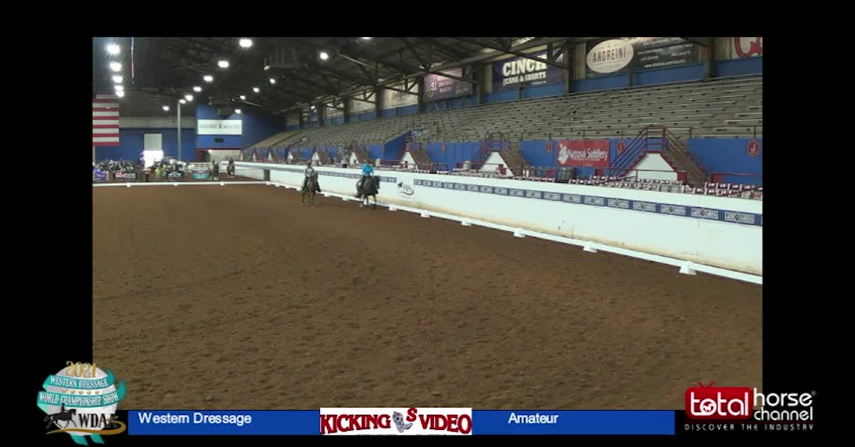 2021 Class 4 Western Dressage Suitability Walk Jog Lope | Amateur