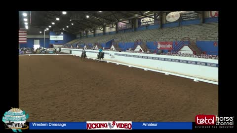 2021 Class 4 Western Dressage Suitability Walk Jog Lope | Amateur