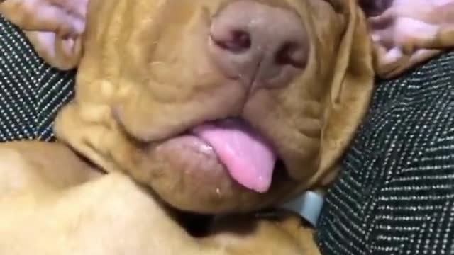 When you catch bae sleeping, you gotta take a video.