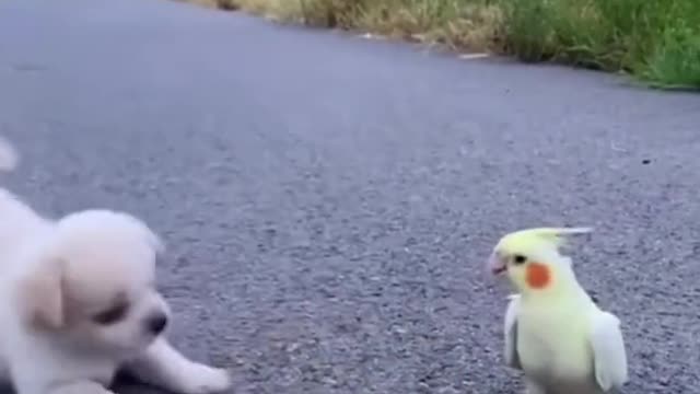 Put a ❤️ If you think cute🥰