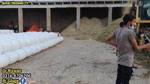 Silage Business in Pakistan