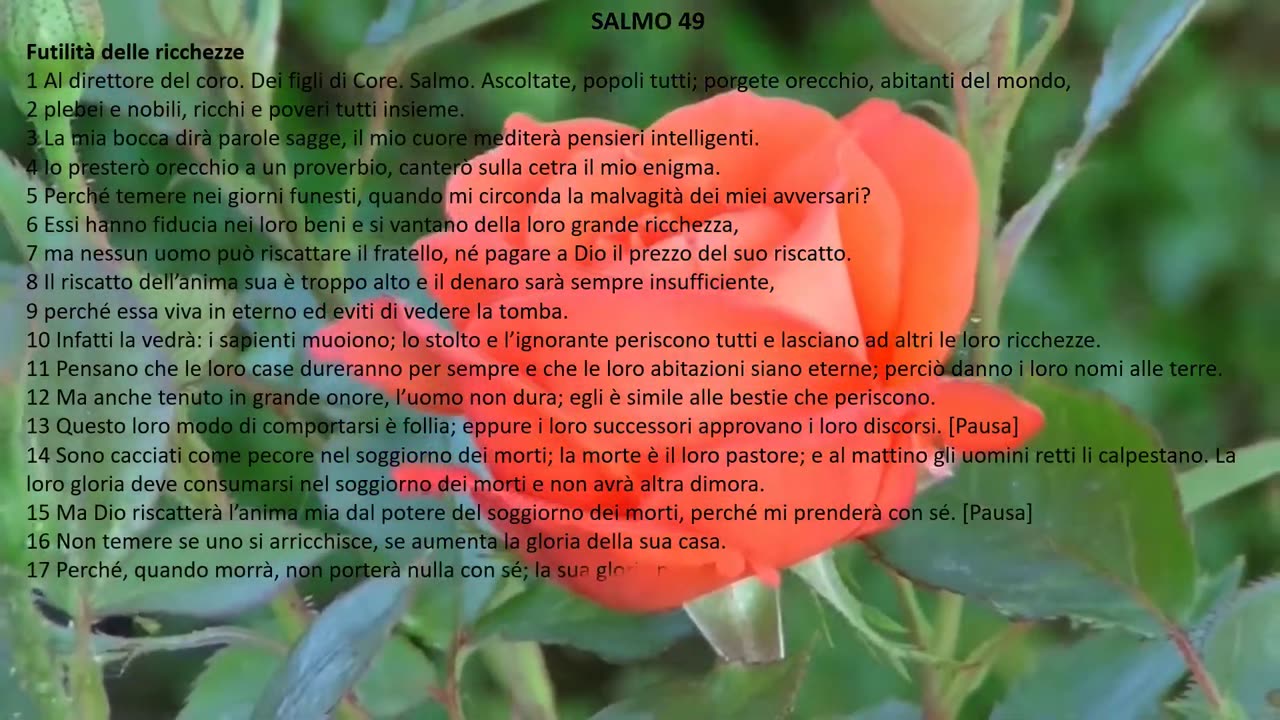 LETTURA DEL SALMO 49 DELLA BIBBIA-LE RICCHEZZE SONO UN NULLA Come pecore sono avviati agli inferi,sarà loro pastore la morte,gli inferi saranno la loro dimora. L'uomo nella prosperità non comprende,è come gli animali che periscono.