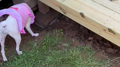 Princess inspects GENIUS new ramp design