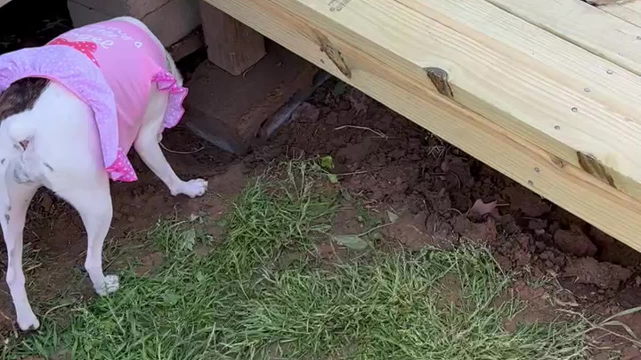 Princess inspects GENIUS new ramp design