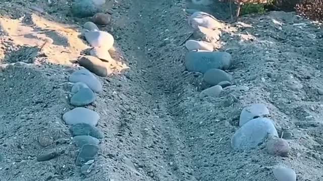 Turning a Cement Cube on the Beach into Tooth Fairy's Beach House