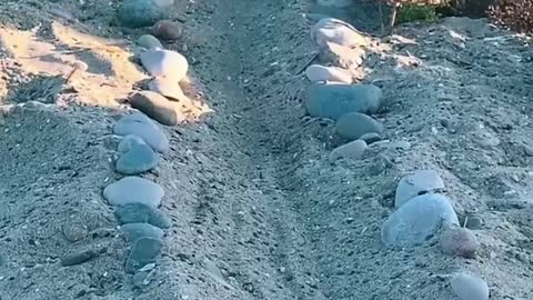 Turning a Cement Cube on the Beach into Tooth Fairy's Beach House