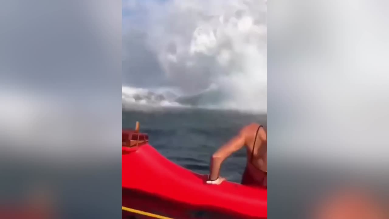 Scariest Whale sound🤯