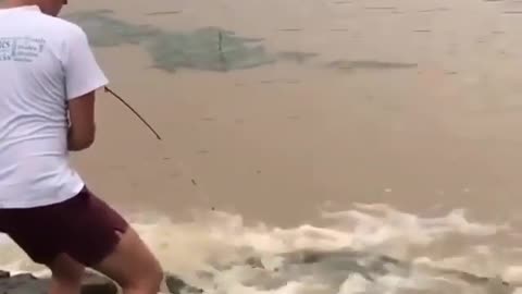 This is a beautiful and charming water-dwelling species