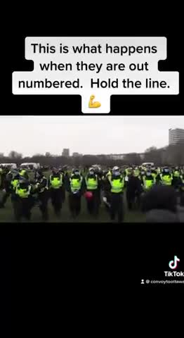 This is what happens when they are out numbered