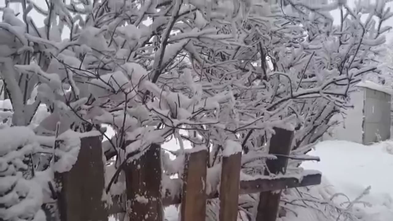 The beauty of snow, Yakutsk (Siberia)