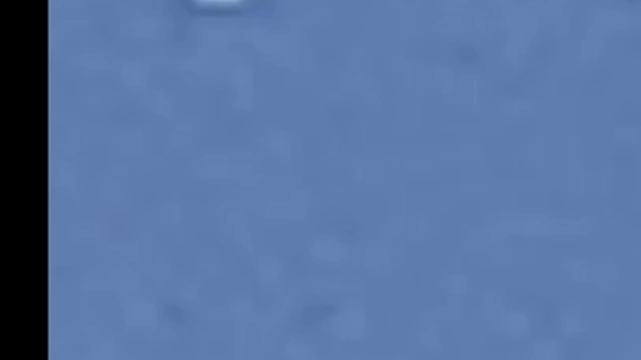 Fleet of ship after #ce5