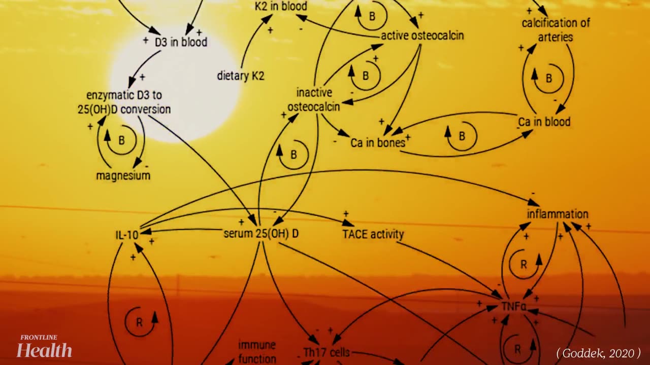 Vitamin D: The Immune System's Superhero