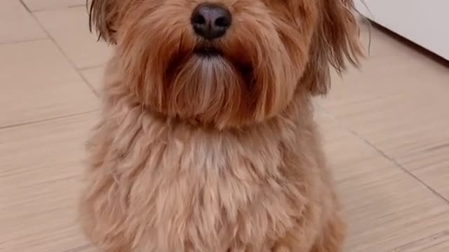 Not a fan of baths...