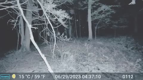 5 CREEPIEST Appalachian video