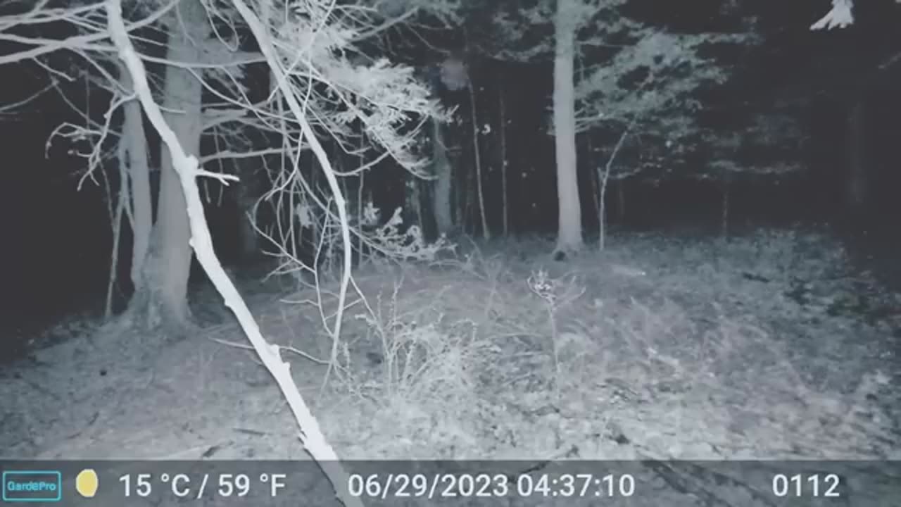 5 CREEPIEST Appalachian video