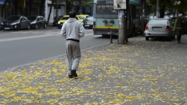 autumn leaves