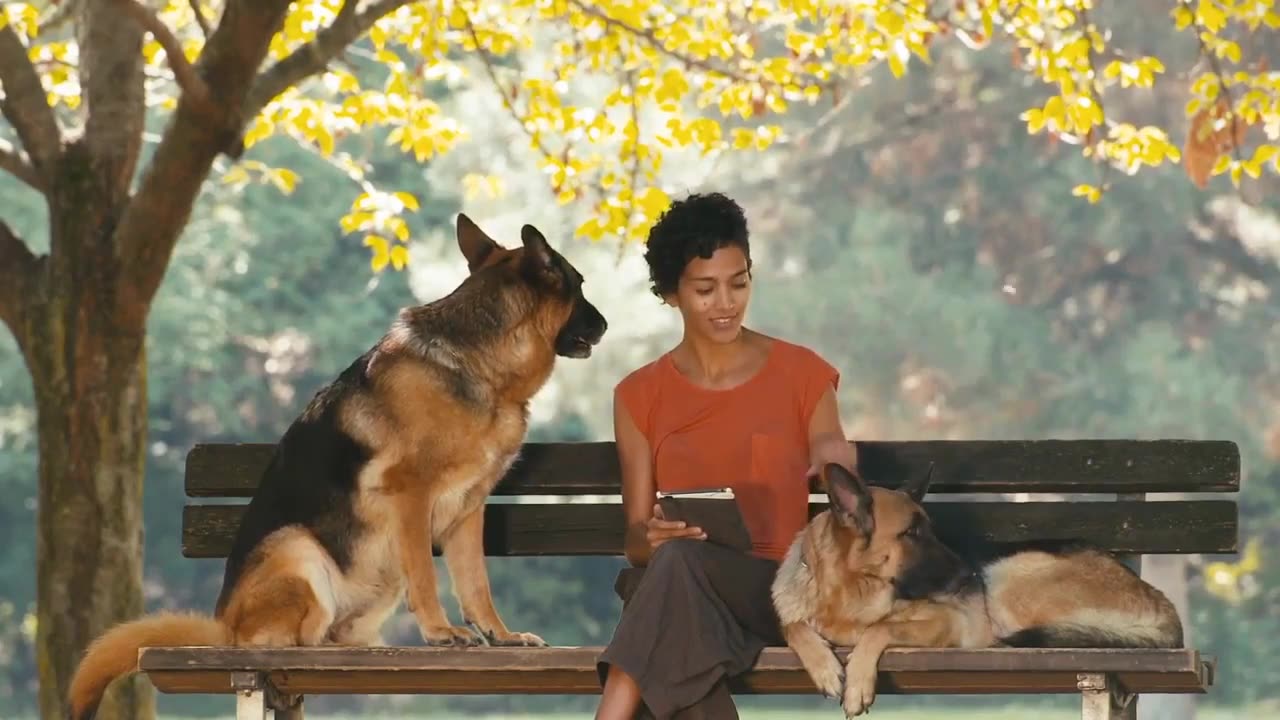 Bark Out Loud: Unleashing the Top 10 Loudest Dog Breeds! 🐕🔊