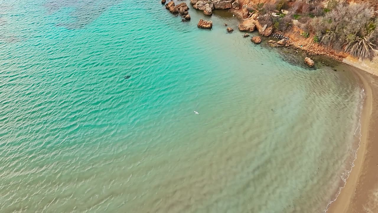 Neo meets gulls on a windy day