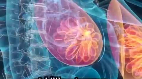Honeybee venom kills cancer cells. #Cancer #Research #Biology