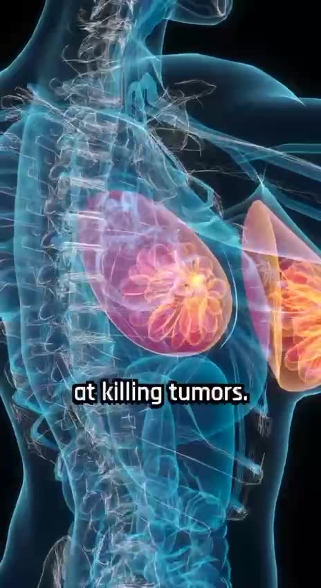 Honeybee venom kills cancer cells. #Cancer #Research #Biology