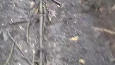 Aftermath of RAF Marines take Ukrainian trench