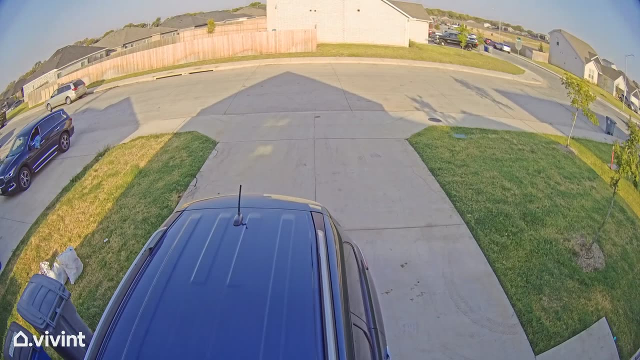 Runaway Vehicle Rolls Out of Driveway