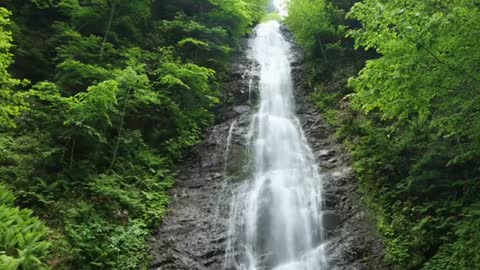 Relaxing Music | Sleeping, Meditation, Stress Relief | [6101] ⭐️