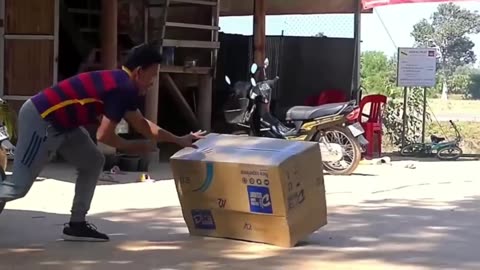 Troll Prank Dog Funny & fake Lion and Fake