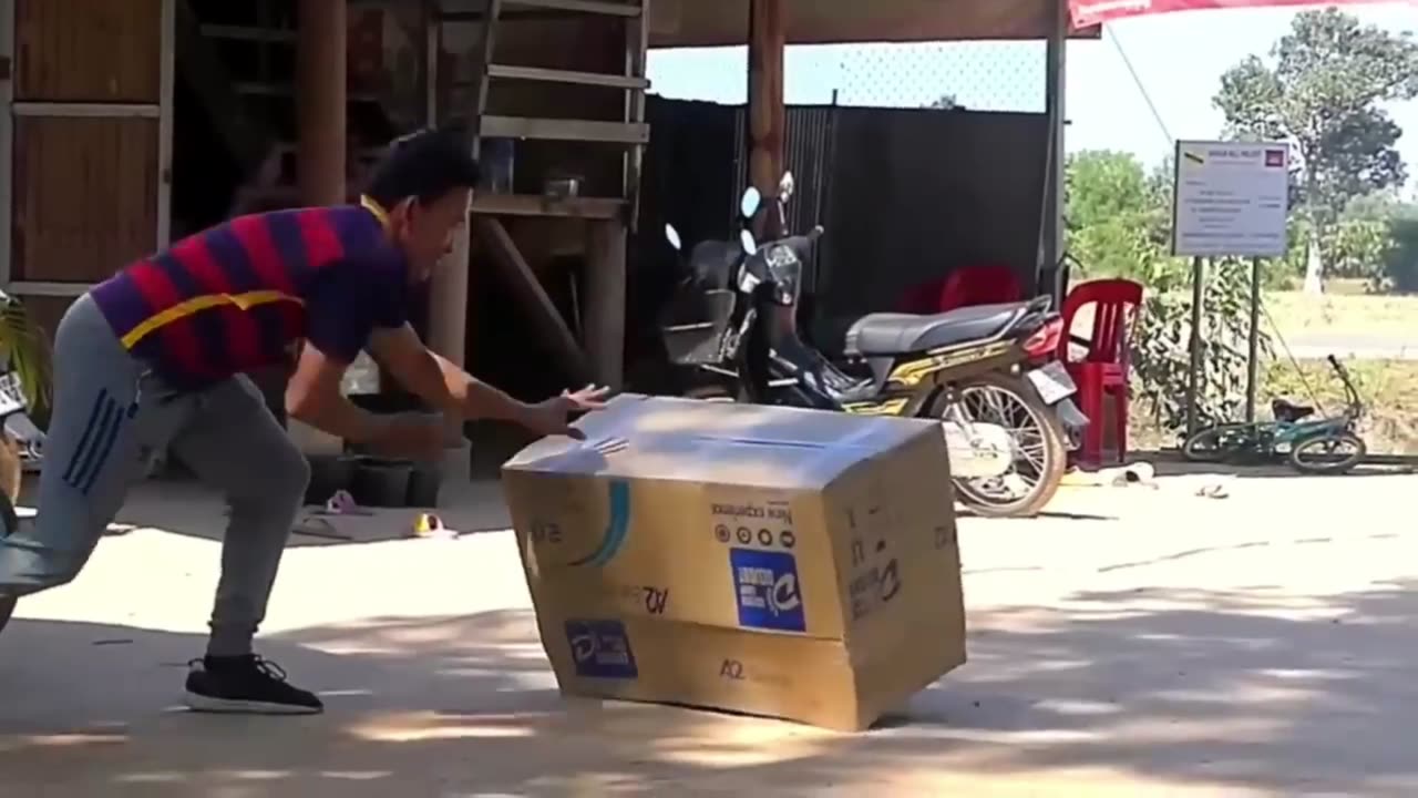 Troll Prank Dog Funny & fake Lion and Fake