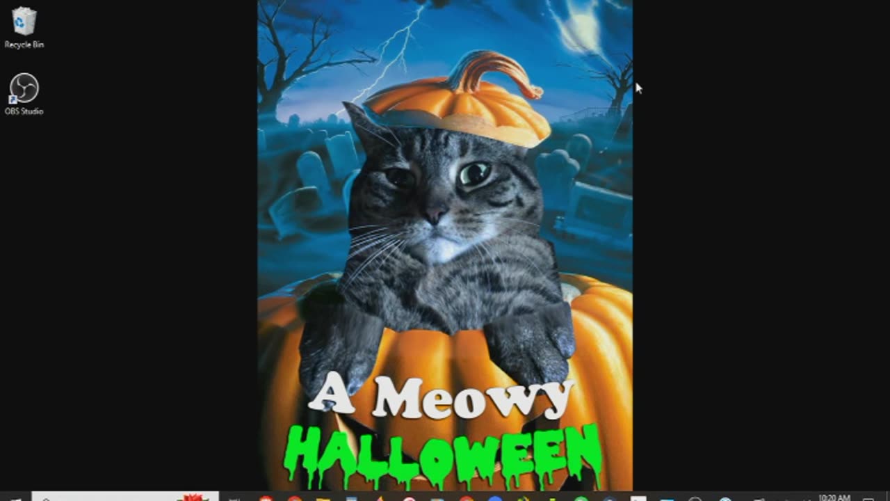 A Meowy Halloween Review