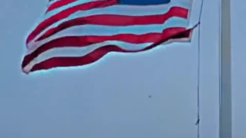 United state flag Trending