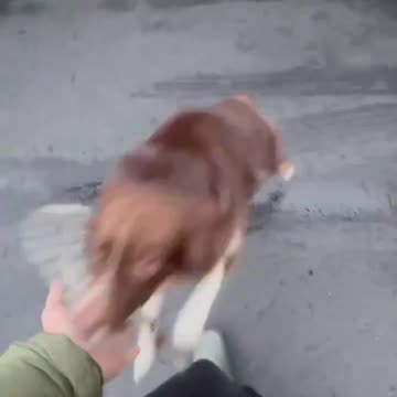 Don't run away, you need to show me around! 🤣