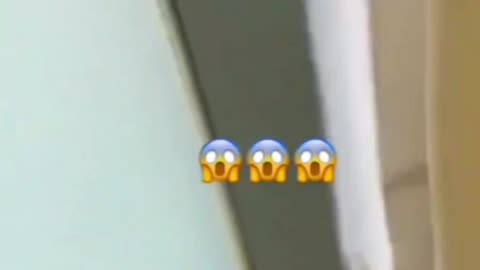 Animals funny video 🤣🤣