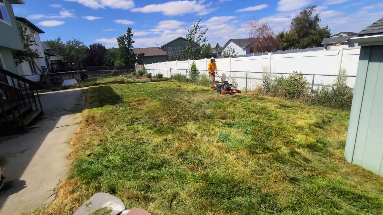 This Neighborhood Eyesore Gets a FREE Yard Transformation (Part 2)