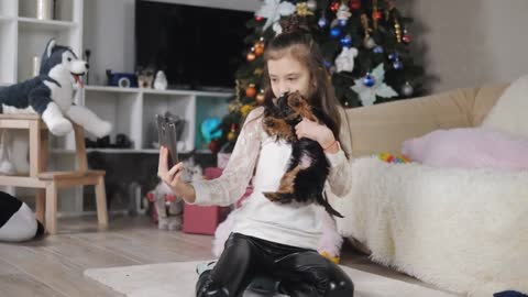 Selfie of a teenage girl with a Yorkshire terrier puppy on the background of a Christmas tree