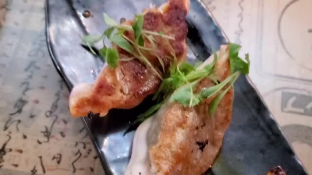 Kapow | Food | Wagyu Beef Potstickers | Florida