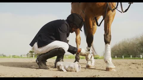 African American man preparing his Dressage horse